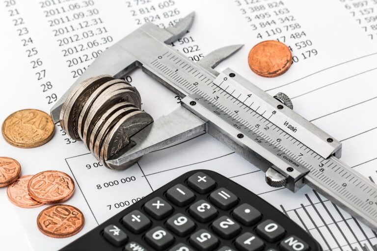 Standard Deduction vs. Itemized Deductions: Which Should You Choose?